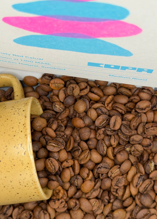 Brazil Finca Cachoeira